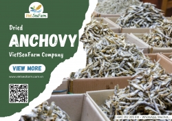 SOME USES AND TIPS FOR PRESERVING ANCHOVIES