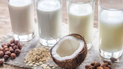 Where to import quality and reputable coconut milk?
