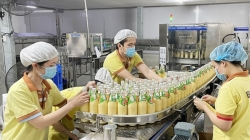 Coconut Milk Processing Line