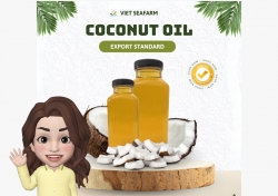 CRUDE COCONUT OIL - COCONUT CAPTION BEN TRE
