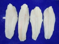 Frozen Pangasius Fillet