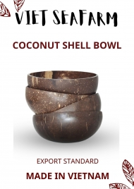 Coconut Shell Bowl