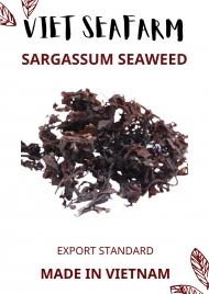 Sargassum Seaweed