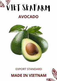 Avocado