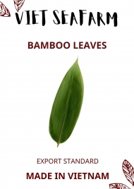 Bamboo Leaves