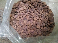 Black Cardamom