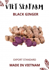 BLACK GINGER