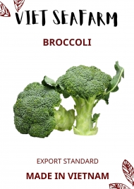 Broccoli