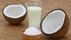 Can coconut milk be exported to the US?