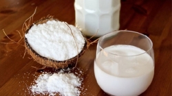 Can pregnant women eat coconut milk?