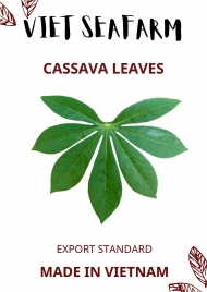 Cassava Leaves