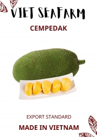 Cempedak