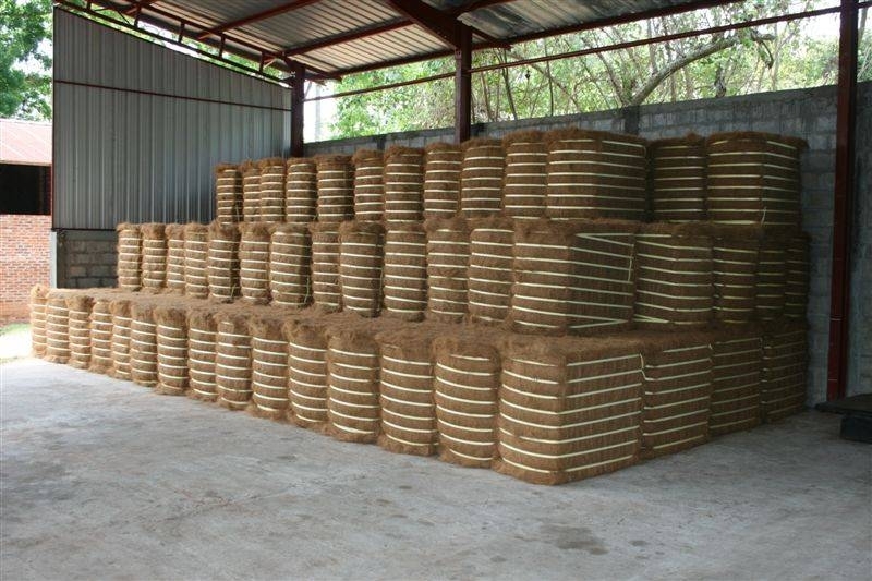 Coconut Fiber