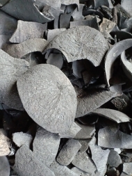 Coconut Shell Charcoal