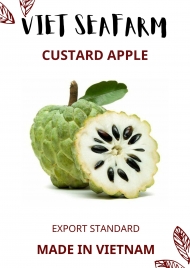 CUSTARD APPLE