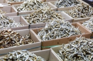 Dried anchovy (sprats)