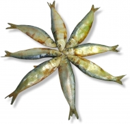 Dried Big Eyed Herring