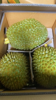 Durian
