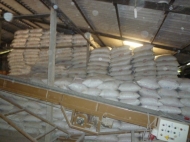 FERMENTED BAGASSE PELLETS