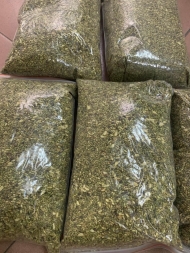 Styphnolobium Japonicum