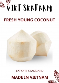 Fresh Young Coconut