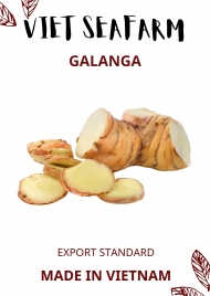 Galanga