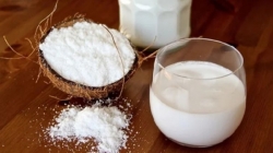 How many calories in coconut milk