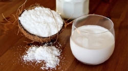 How to make thick coconut milk that you should know?