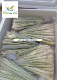 Lemongrass