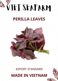 Perilla Leaves