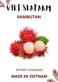 Rambutan Fruit