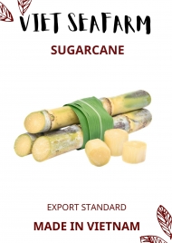 Sugarcane