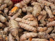 Turmeric