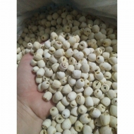 White lotus seed