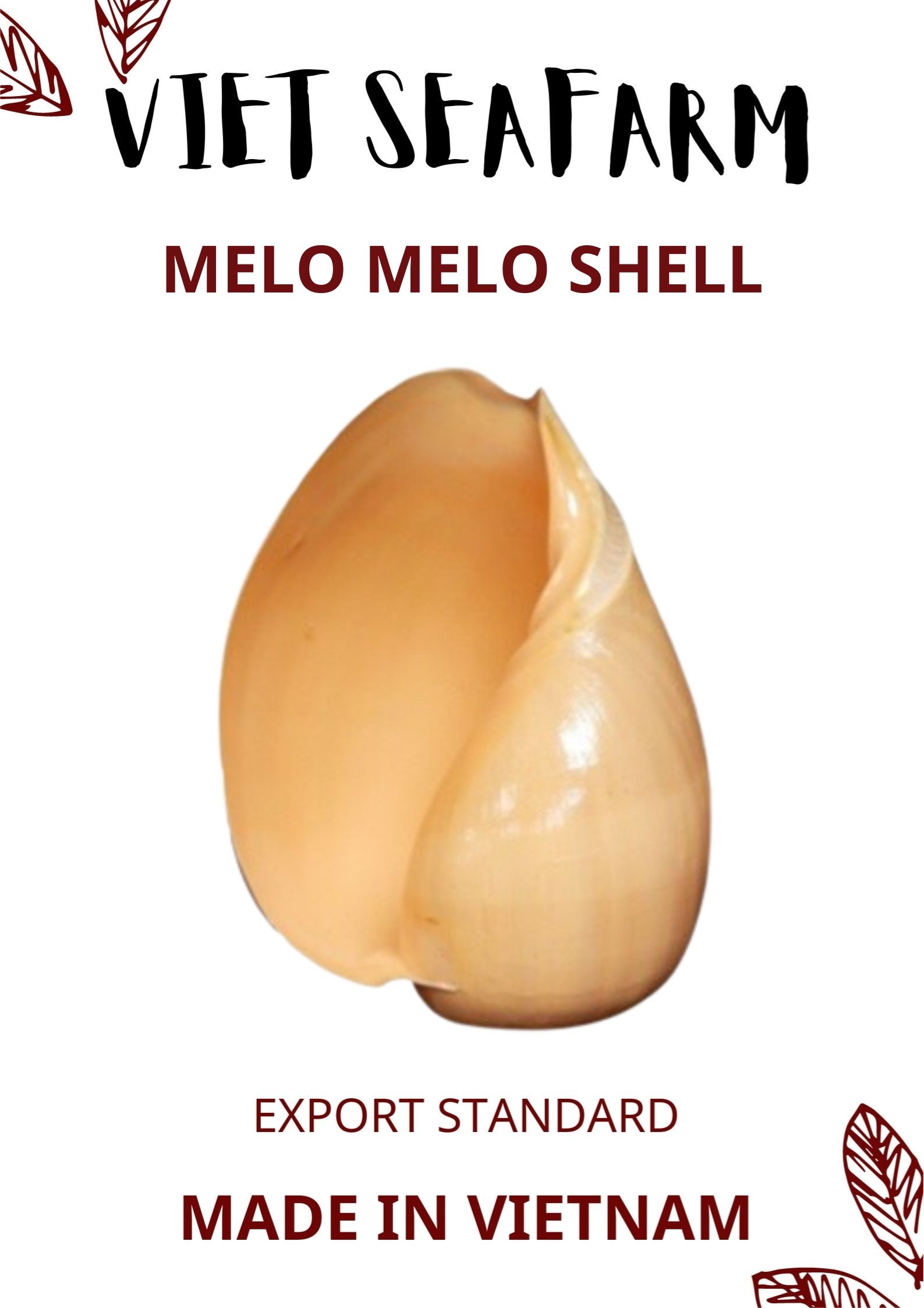 Melo Melo Shell