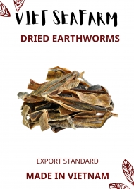 Dried Earthworms