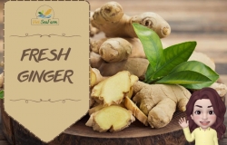 THE INCREASE IN VIETNAMESE WASHED FRESH GINGER IN THE FIRST TWO QUATERS 2023