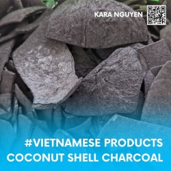 REDUCE COSTS AND INCREASE VALUE THANKS TO NATURAL MATERIALS FROM AGRICULTURAL WASTE: COCONUT SHELL CHARCOAL