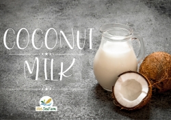 Coconut Milk - Harvesting and Crafting Coconut Milk