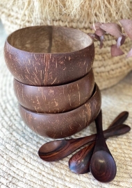 Coconut Shell Bowl