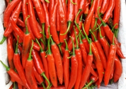 Chili Peppers Inhibit Cancer Growth