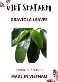 Graviola Leaves