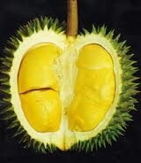 DURIAN - THE KING OF FRUITS