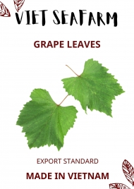 Grape Leaves