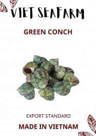 Green Conch