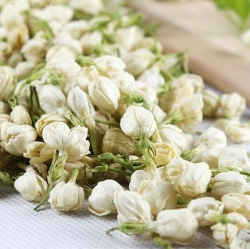 Jasmine: Medicinal Uses, Facts & Health Benefits