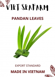 Pandanus leaves