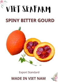 Spiny Bitter Gourd