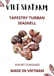 Tapestry Turban Seashell