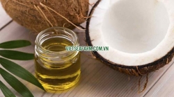 The health benefits of... coconut oil